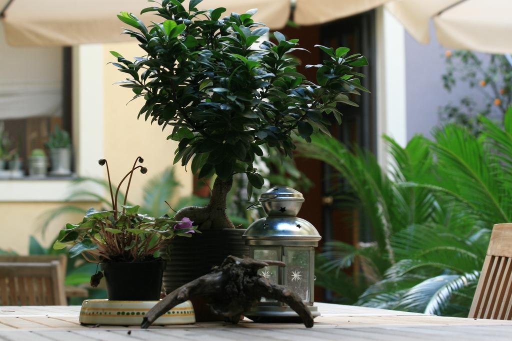 Casa Barbero Charme B&B Katanya Dış mekan fotoğraf
